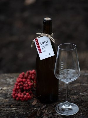 Lahev vína Rulandské bílé 2019, zemské víno (suché)