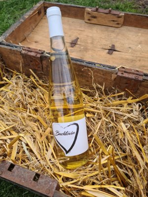 Lahev vína Veltlínské zelené 2017, zemské víno (suché)