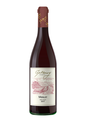 Lahev vína Merlot 2017, výběr z hroznů (suché)