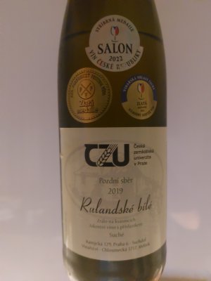 Lahev vína Rulandské bílé sur lie 2019, pozdní sběr (suché)