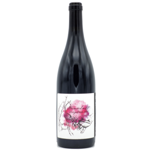 Lahev vína Zweigeltrebe | Weinschnitt 2019, zemské víno (suché)