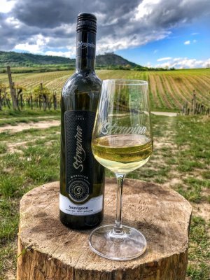 Lahev vína Sauvignon 2019, pozdní sběr (polosuché)