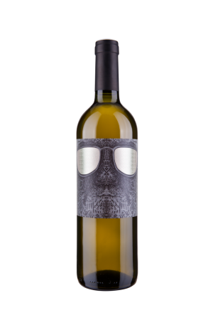 Lahev vína Chardonnay (ORGANIC) 2018, zemské víno (suché)