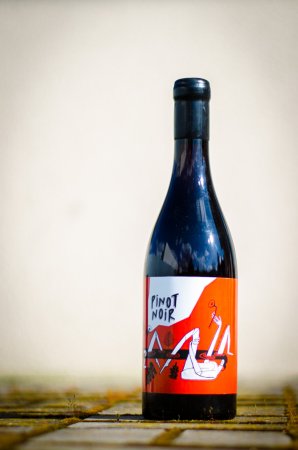 Lahev vína Pinot Noir 2017, zemské víno