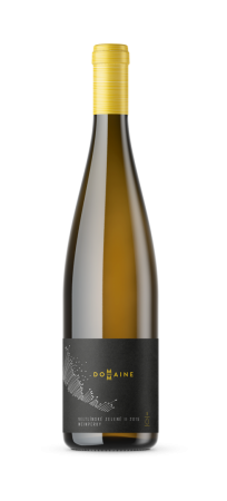 Lahev vína Veltlínské zelené II z betonového vejce 2015, zemské víno (suché)