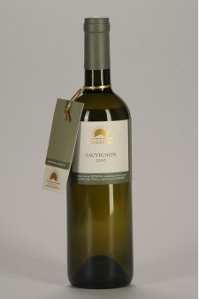 Lahev vína Sauvignon (Velký) 2009, pozdní sběr (suché)