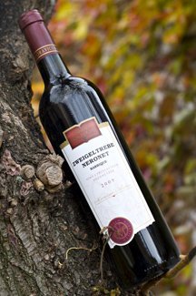 Lahev vína Zweigeltrebe Neronet Barrique 2009, pozdní sběr (suché)