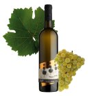 Ryzlink rýnský Sad 2024, kabinetní víno