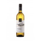 Auxerrois 2022, pozdní sběr