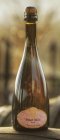 Pinot Noir Blanc de noirs, jakostní šumivé víno