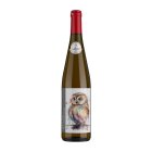 Pinot gris ORANGE 2022, zemské víno