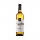 Auxerrois 2023, pozdní sběr