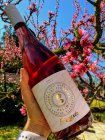 Zweigeltrebe rosé FRIZZANTE - STARÁ HORA 2020, zemské víno - perlivé