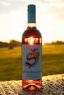 Cabernet Moravia rosé 2020, zemské víno