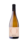 Amber wine 2019, zemské víno