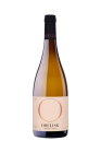 Amber wine 2018, zemské víno