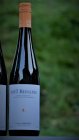 Riesling 2017, zemské víno