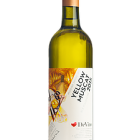 Yellow Muscat 2015, pozdní sběr
